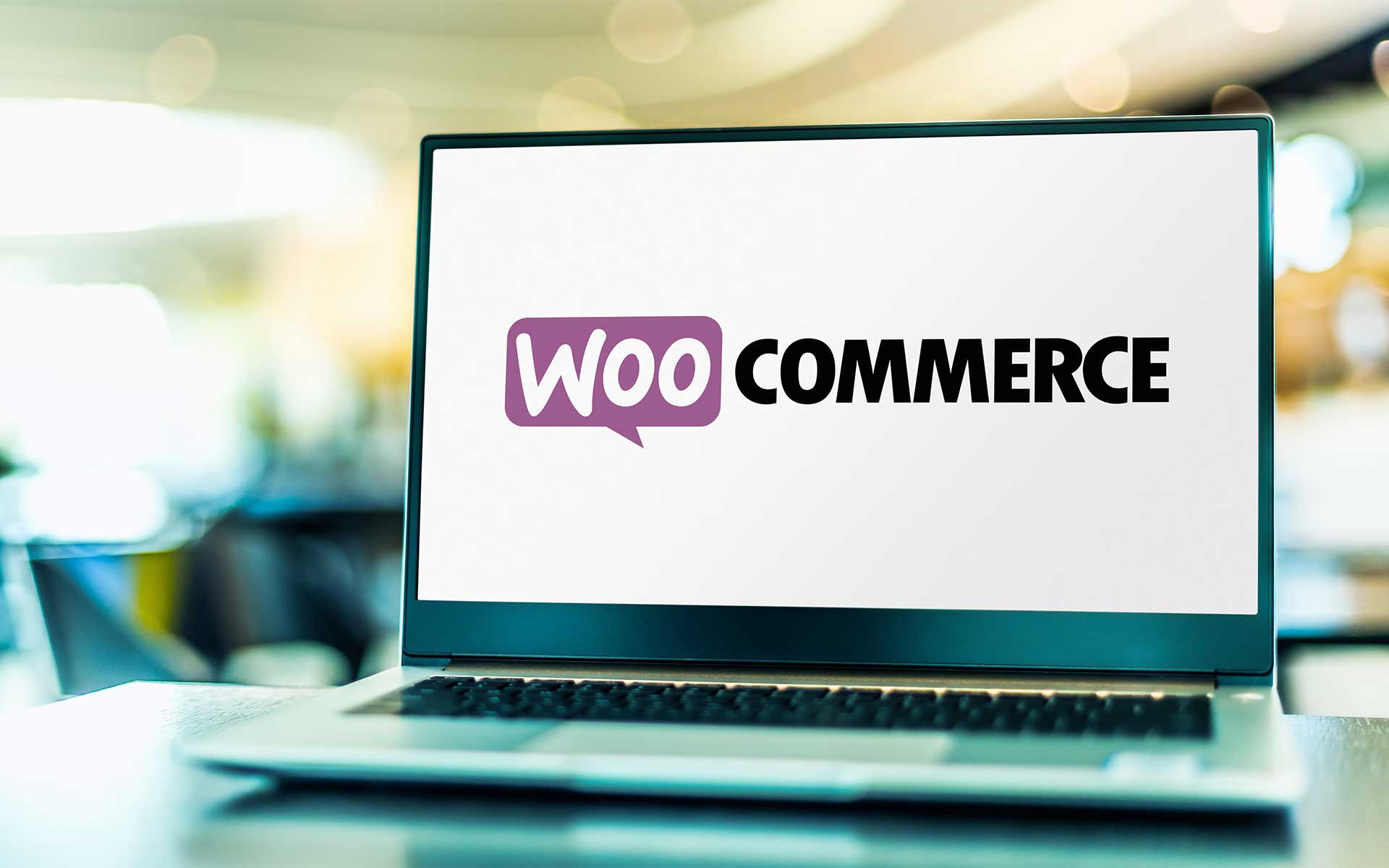 WooCommerce Presentation