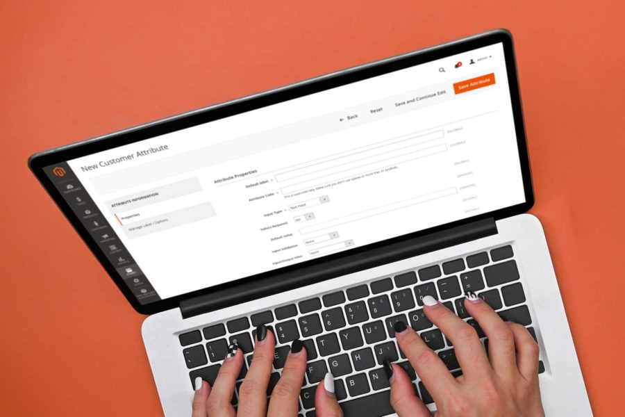Magento Extensions Guide