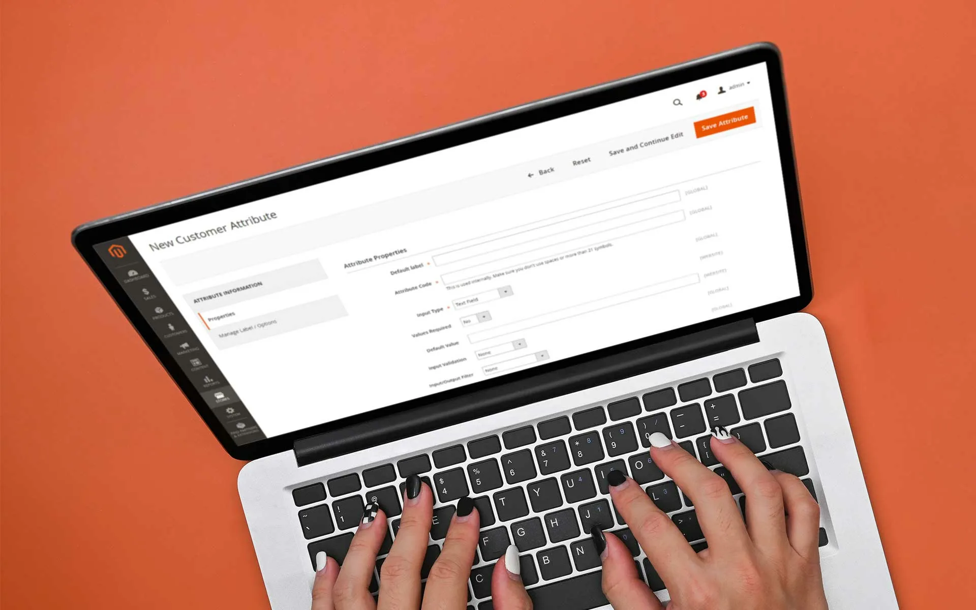 Magento Extensions Guide